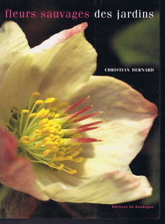 Fleurs sauvages des jardins