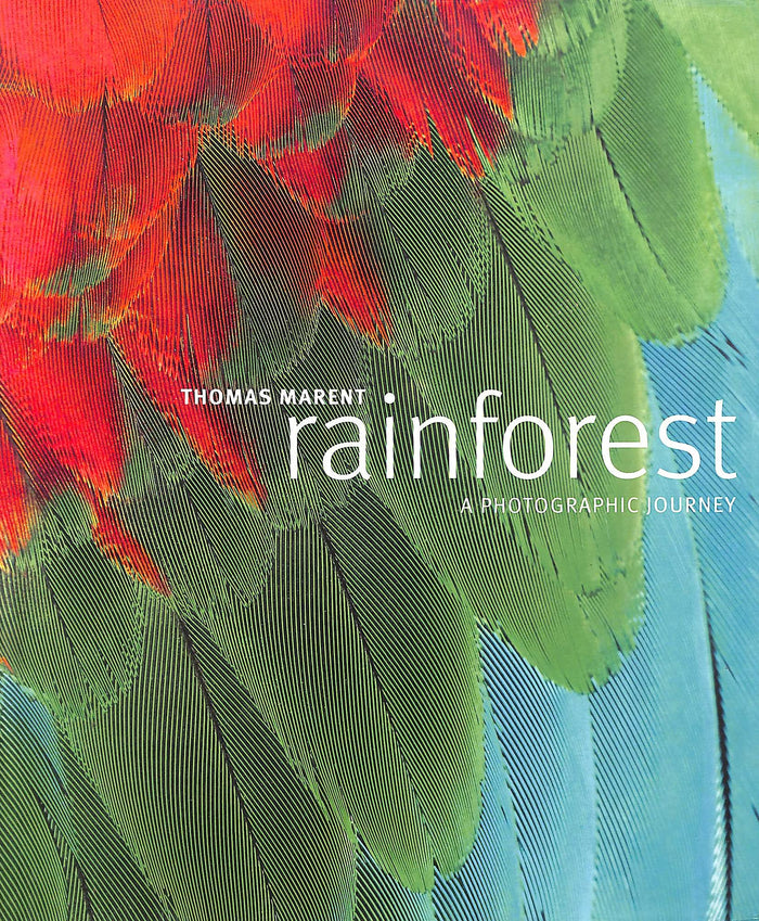 Rainforest