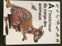 Interieur Du Corps Des Animaux
