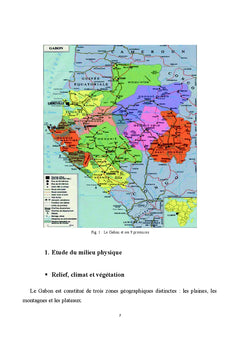 Recherche archéologique autour du Lac Bleu de Mouila (Gabon)