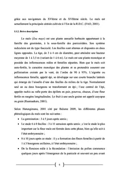 Essai d'introduction de 4 Variétés exotiques de Maïs à Murhesa