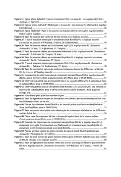 Production de blé synthétique par croisement interspécifique