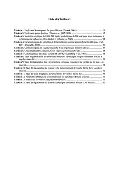 Production de blé synthétique par croisement interspécifique