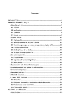 Production de blé synthétique par croisement interspécifique
