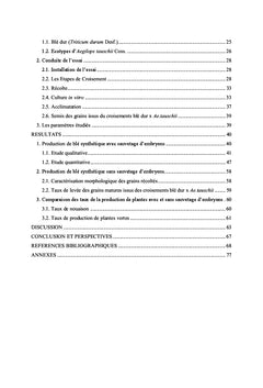 Production de blé synthétique par croisement interspécifique