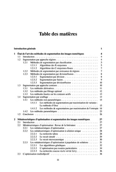 Ame lioration de la segmentation d'images par des me taheuristiques