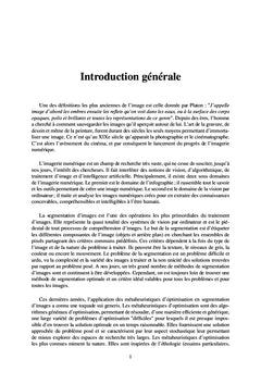 Ame lioration de la segmentation d'images par des me taheuristiques