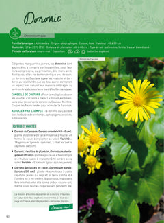 Guide pratique des vivaces