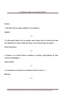 La Gestion des risques et des cyber risques Tome II