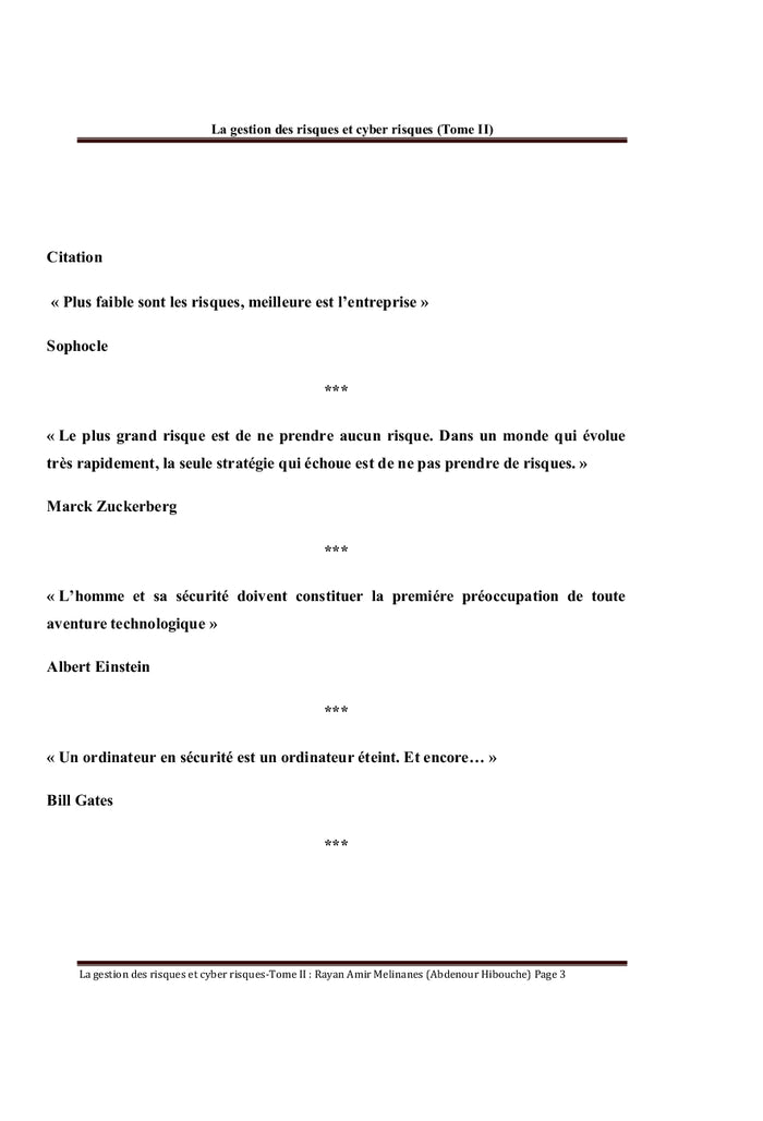 La Gestion des risques et des cyber risques Tome II