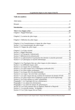 La Gestion des risques et des cyber risques Tome II