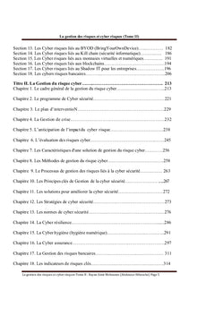 La Gestion des risques et des cyber risques Tome II