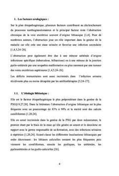 La pyélonéphrite xanthogranulomateuse : du diagnostic au traitement