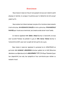 Impact des déversements des hydrocarbures sur l'environnement