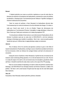 Impact des déversements des hydrocarbures sur l'environnement