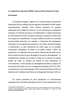 La complexité du mécanisme REDD+ dans les forêts du Bassin du Congo