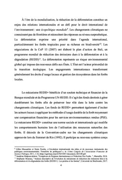 La complexité du mécanisme REDD+ dans les forêts du Bassin du Congo