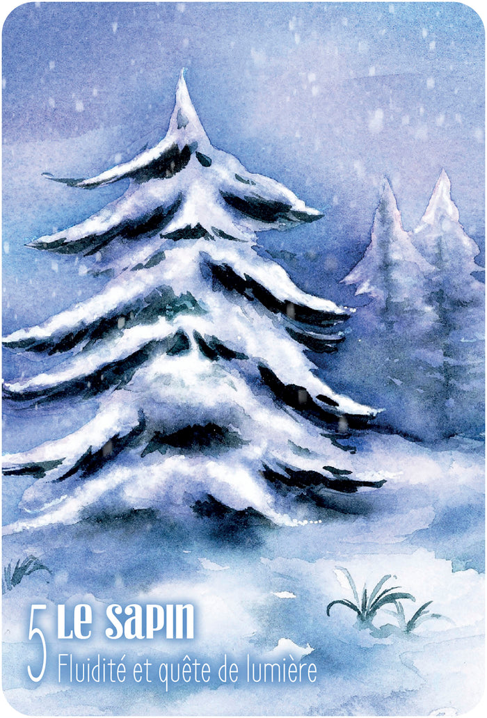 S'ouvrir à l'énergie des arbres