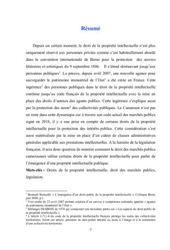 Propriété intellectuelle et droit des marchés publics