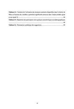 Questionnement associé à la faible fréquentation des hôpitaux modernes