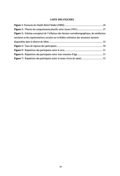 Questionnement associé à la faible fréquentation des hôpitaux modernes