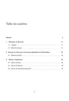 Inverse de type Drazin