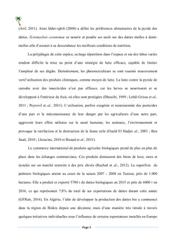 La pyrale des dattes dans la région de Biskra - Algérie