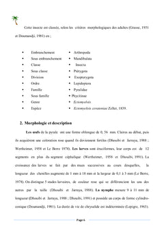 La pyrale des dattes dans la région de Biskra - Algérie