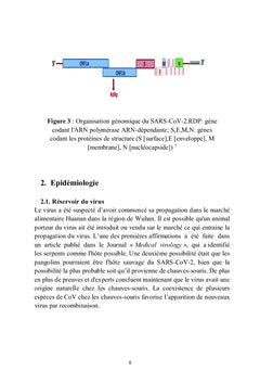 La COVID-19 et pathologies Cardiovasculaires