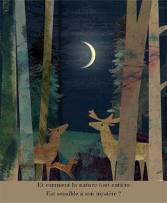 Voyage au clair de lune