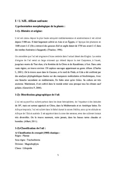 Effet de GA3 sur les paramètres morphologiques de l'ail Allium sativum