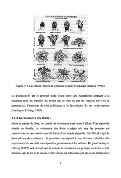 Rechauffement climatique et levee de dormance des arbres fruitiers