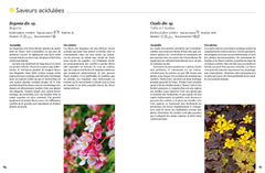 Toutes les saveurs du jardin