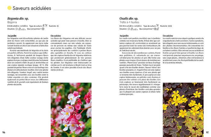 Toutes les saveurs du jardin