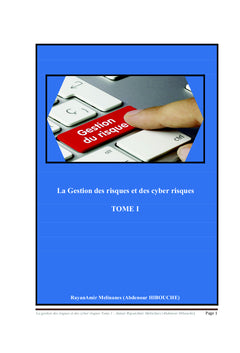 La Gestion des risques et des cyber risques