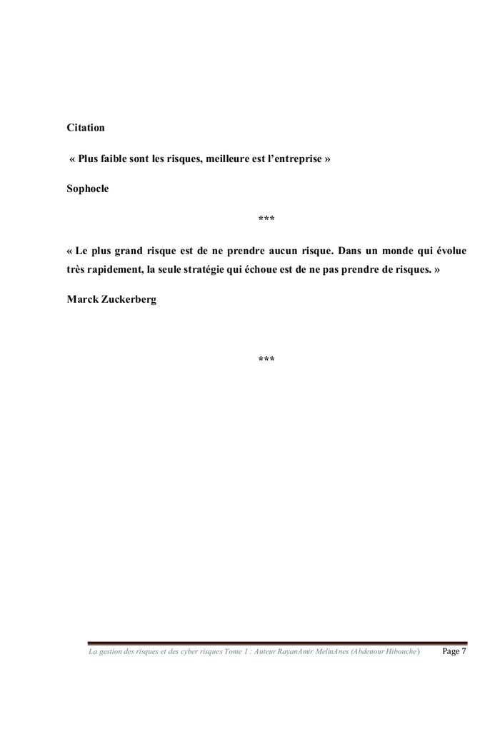 La Gestion des risques et des cyber risques