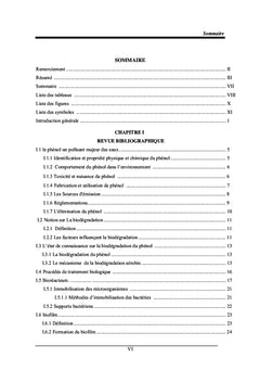 Etude hydrodynamique d'un bioreacteur A lit fixe