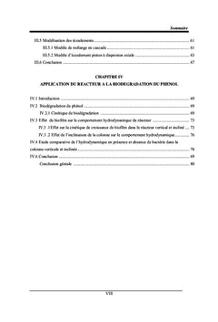 Etude hydrodynamique d'un bioreacteur A lit fixe