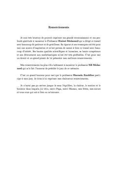 Etude des systèmes dynamiques aléatoires récurrents