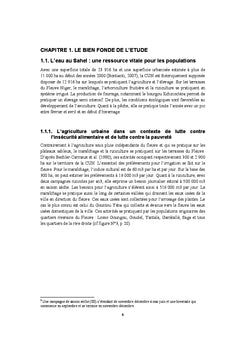 Degradation du Fleuve Niger au Niger