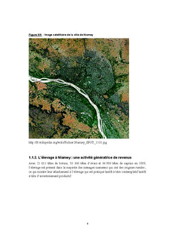 Degradation du Fleuve Niger au Niger