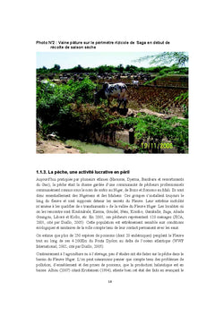 Degradation du Fleuve Niger au Niger