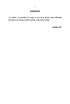 La formation professionnelle des jeunes diplomés