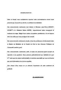 La médiation sociale en France