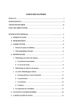 La médiation sociale en France