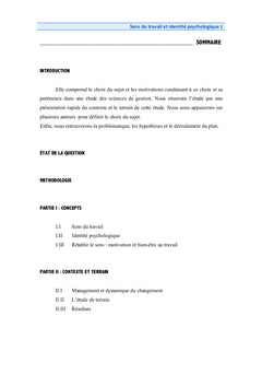 Sens du travail et identités psychologiques