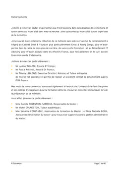 Systèmes d'Information de l'Entreprise Etendue Audit et Conseil