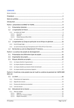 Systèmes d'Information de l'Entreprise Etendue Audit et Conseil