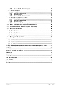 Systèmes d'Information de l'Entreprise Etendue Audit et Conseil