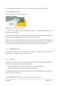 Systèmes d'Information de l'Entreprise Etendue Audit et Conseil